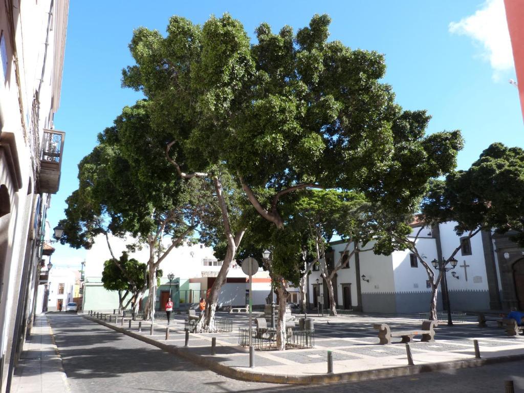 La Casa De Vegueta Las Palmas de Gran Canária Exterior foto